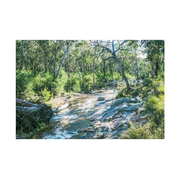 Jacob Daffy 'Watercolor' Canvas Art