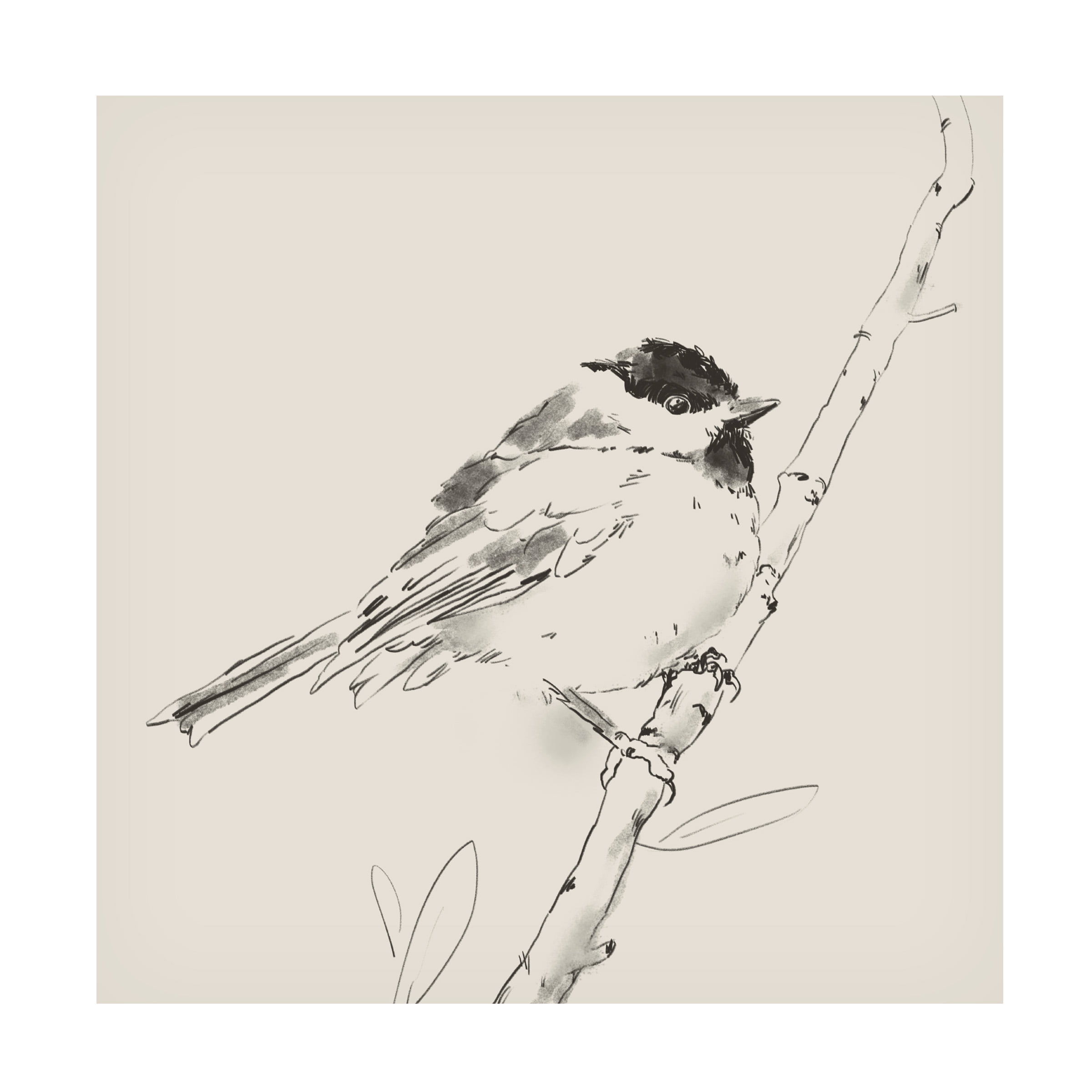 Jacob Green 'Black Capped Chickadee I' Canvas Art