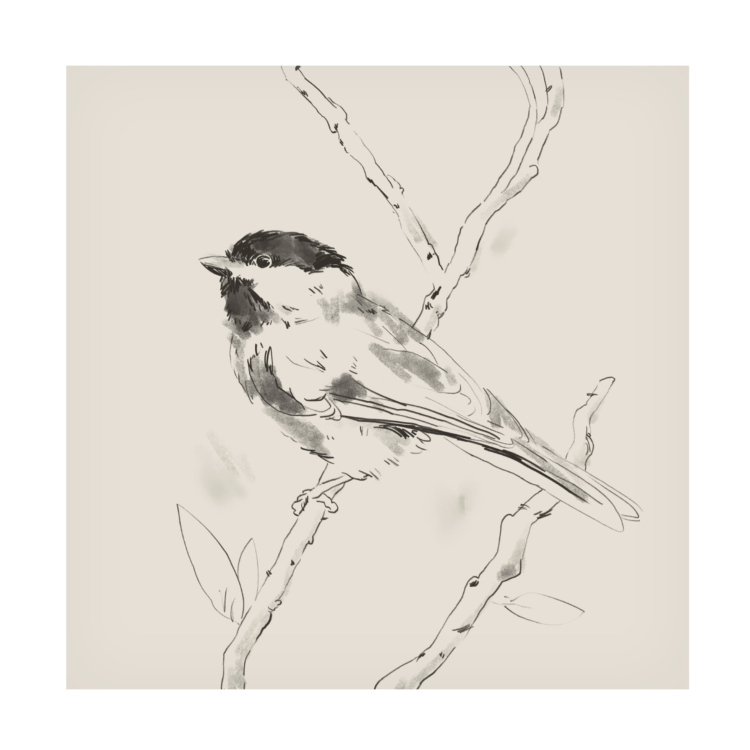 Jacob Green 'Black Capped Chickadee II' Canvas Art
