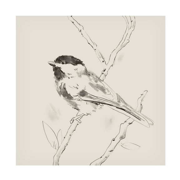Jacob Green 'Black Capped Chickadee II' Canvas Art