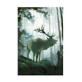 thumbnail image 1 of Jacob Green 'Elemental Animals II' Canvas Art, 1 of 3