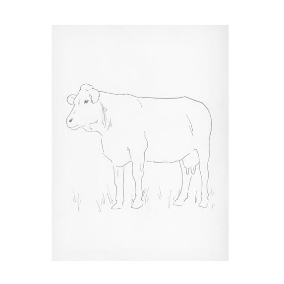 Jacob Green 'Limousin Cattle IV' Canvas Art