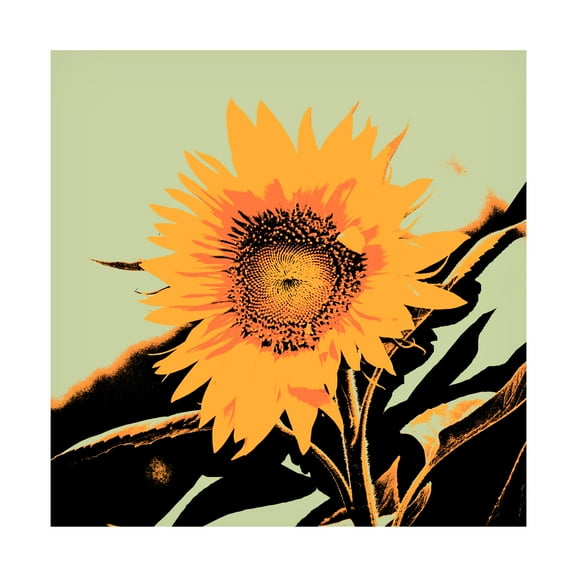 Jacob Green 'Pop Art Sunflower II' Canvas Art