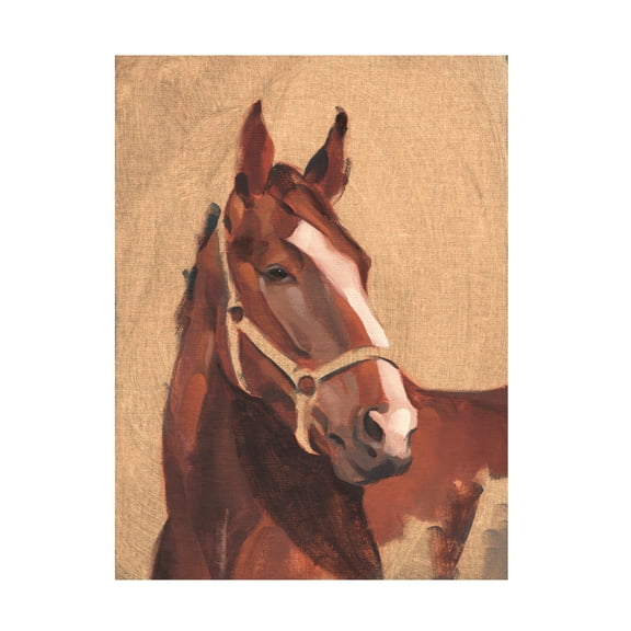 Jacob Green 'Thoroughbred IV' Canvas Art