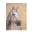 thumbnail image 1 of Jacob Green 'Thoroughbred VI' Canvas Art, 1 of 4
