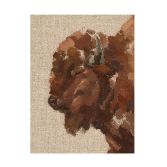 Jacob Green 'Tiled Bison II' Canvas Art