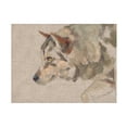 thumbnail image 1 of Jacob Green 'Timber Wolf II' Canvas Art, 1 of 4