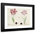 thumbnail image 1 of Jacob Marrel 14x12 Black Modern Framed Museum Art Print Titled - Two Tulips with Two Cherries and at (1637), 1 of 5