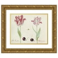 thumbnail image 1 of Jacob Marrel 14x12 Gold Ornate Wood Frame and Double Matted Museum Art Print Titled - Two Tulips with Two Cherries and at (1637), 1 of 4