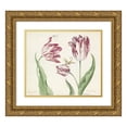 thumbnail image 1 of Jacob Marrel 17x15 Gold Ornate Wood Frame and Double Matted Museum Art Print Titled - Three Tulips with Water Teachers and Another Insect (1639), 1 of 4