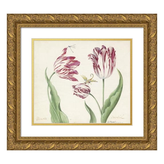 Jacob Marrel 17x15 Gold Ornate Wood Frame and Double Matted Museum Art Print Titled - Three Tulips with Water Teachers and Another Insect (1639)