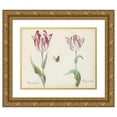 thumbnail image 1 of Jacob Marrel 18x15 Gold Ornate Wood Frame and Double Matted Museum Art Print Titled - Two Tulips with Butterfly . (1637), 1 of 4