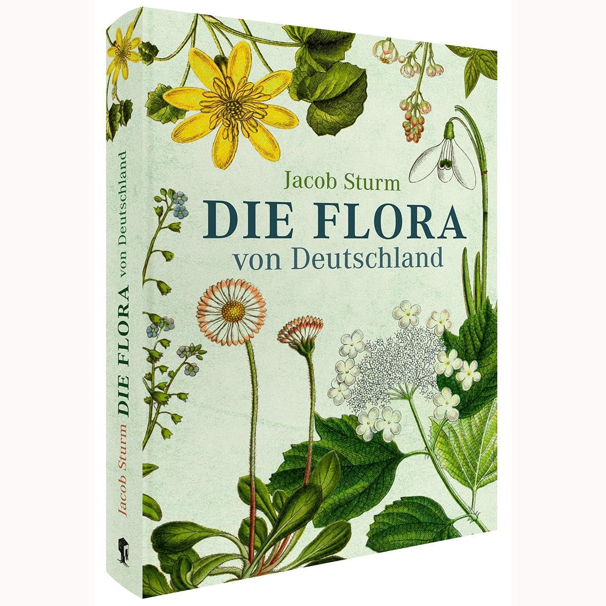 Sturm Jacob Math Jacob Sturm,Oli Die Flora von Deutschland von Jacob Sturm ...