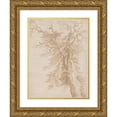 thumbnail image 1 of Jacob de Gheyn II 12x14 Gold Ornate Wood Frame and Double Matted Museum Art Print Titled - Study of a Tree (16th Century), 1 of 4