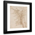 thumbnail image 1 of Jacob de Gheyn II 19x24 Black Modern Framed Museum Art Print Titled - Study of a Tree (16th Century), 1 of 5