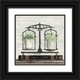 thumbnail image 1 of Jacobs, Cindy 12x12 Black Ornate Wood Framed with Double Matting Museum Art Print Titled - Balanced Plant Life, 1 of 4