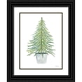 thumbnail image 1 of Jacobs, Cindy 12x14 Black Ornate Wood Framed with Double Matting Museum Art Print Titled - Fir Tree in Pot, 1 of 4