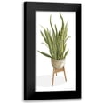 thumbnail image 1 of Jacobs, Cindy 14x24 Black Modern Framed Museum Art Print Titled - Snake Plant, 1 of 5