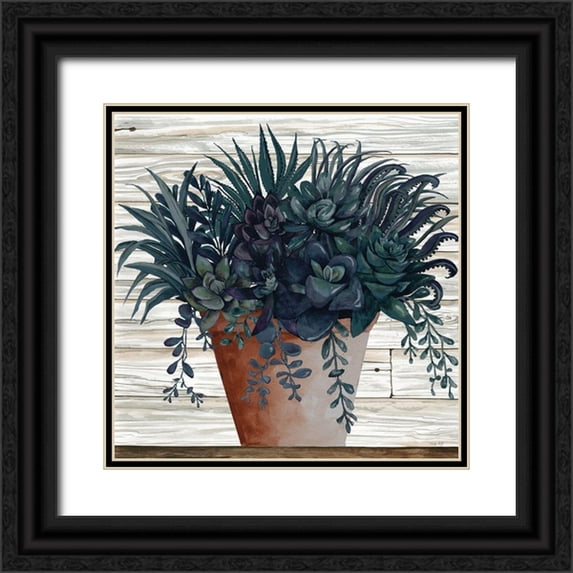 Jacobs, Cindy 15x15 Black Ornate Wood Framed with Double Matting Museum Art Print Titled - Remarkable Succulents I