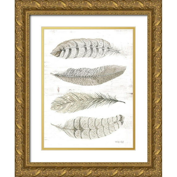 Jacobs, Cindy 19x24 Gold Ornate Wood Framed with Double Matting Museum Art Print Titled - Feather Quad