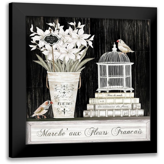 Jacobs, Cindy 20x20 Black Modern Framed Museum Art Print Titled - Amaryllis Still Life