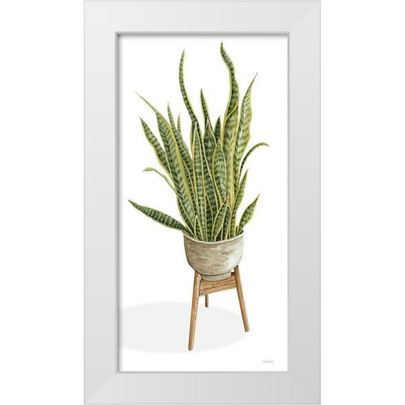 Jacobs, Cindy 9x14 White Modern Wood Framed Museum Art Print Titled - Snake Plant