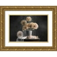 thumbnail image 1 of Jacobs, Lydia 14x11 Gold Ornate Wood Framed with Double Matting Museum Art Print Titled - Dandelion Seed Pod, 1 of 4