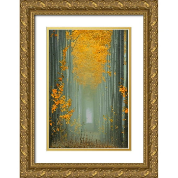 Jacobs, Lydia 17x24 Gold Ornate Wood Framed with Double Matting Museum Art Print Titled - Misty Autumn Path