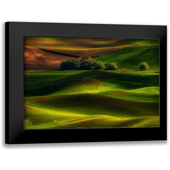 Jacobs, Lydia 24x17 Black Modern Framed Museum Art Print Titled - Spring In The Palouse