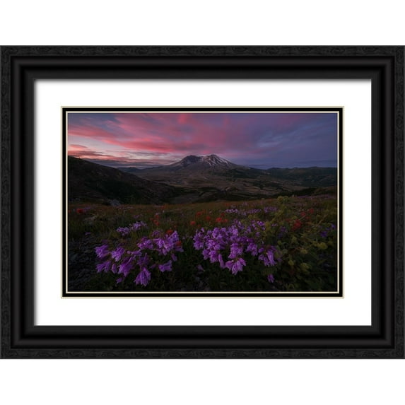 Jacobs, Lydia 24x17 Black Ornate Wood Framed with Double Matting Museum Art Print Titled - Blooming Wildflower At Mt. St Helens