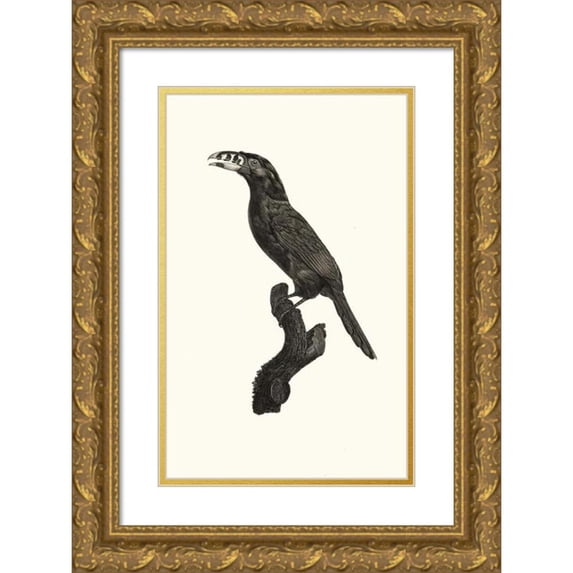 Jacques Barraband 11x14 Gold Ornate Wood Frame and Double Matted Museum Art Print Titled - The Male Aracari Koulik from Brazil. (1806)