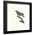 thumbnail image 1 of Jacques Barraband 15x18 Black Modern Framed Museum Art Print Titled - The Bearded with a Male Blue Throat. (1806), 1 of 5