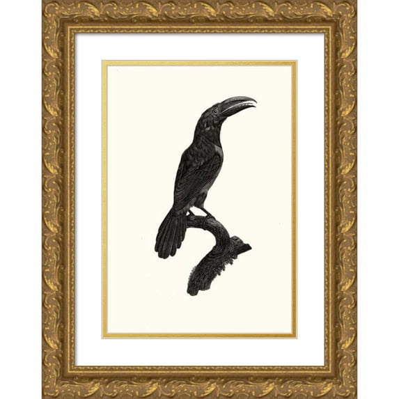 Jacques Barraband 18x24 Gold Ornate Framed and Double Matted Museum Art Print Titled - Green Aracari (Verd), Female. (1806)