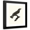 thumbnail image 1 of Jacques Barraband 19x24 Black Modern Framed Museum Art Print Titled - The Rollier, Varied from Africa. (1806), 1 of 5