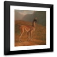 thumbnail image 1 of Jacques-Laurent Agasse 20x23 Black Modern Framed Museum Art Print Titled - Guanaco (ca. 1848), 1 of 5