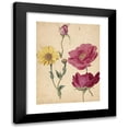thumbnail image 1 of Jacques Le Moyne de Morgues 19x24 Black Modern Framed Museum Art Print Titled - A Sheet of Studies with French Roses and an Oxeye Daisy (ca 1570), 1 of 5