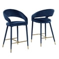 thumbnail image 1 of Jacques Velvet Navy Counter Height Dining Chairs (Set of 2), 1 of 5