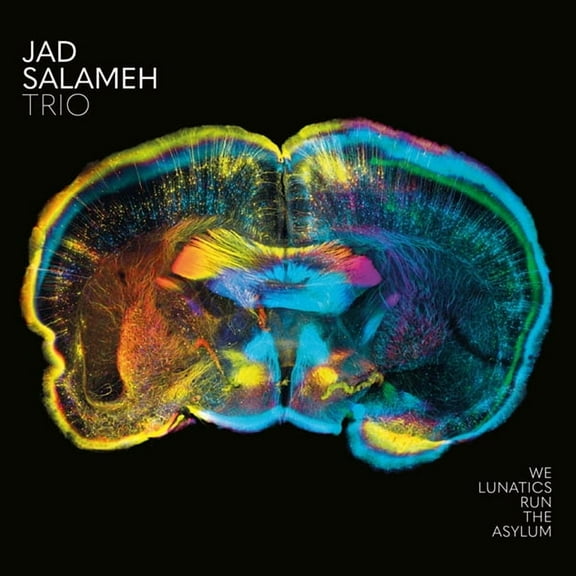Jad -Trio- Salameh We Lunatics Run The Asylum (CD)