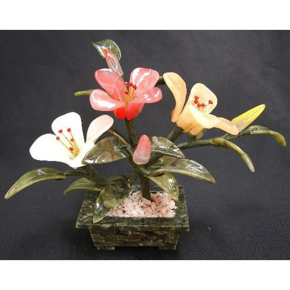 Jade Peony Plants