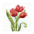 thumbnail image 1 of Jade Reynolds 'Red Tulip Splash II' Canvas Art, 1 of 3