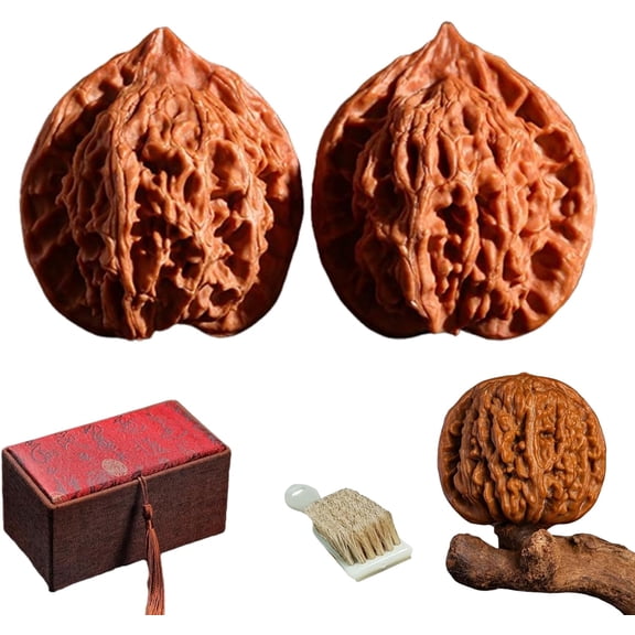 Jade Walnuts, Chinese Walnuts Fidget,2026 New 2Pcs Chinese Walnuts Fidget for Hand Exercise, Natural Massage Balls with Gift Box & Brush,Form Raw Shell to Jade Like Gem