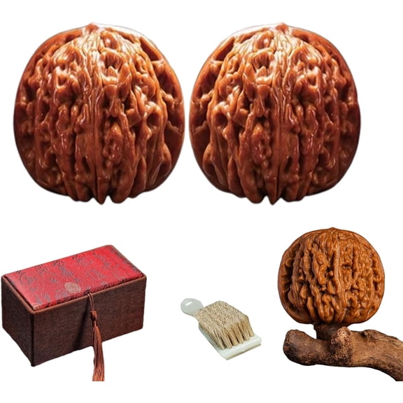 Jade Walnuts, Chinese Walnuts Fidget,2026 New 2Pcs Chinese Walnuts Fidget for Hand Exercise, Natural Massage Balls with Gift Box & Brush,Form Raw Shell to Jade Like Gem