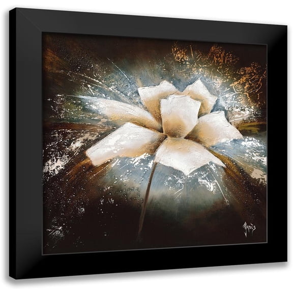 Jadis 12x12 Black Modern Framed Museum Art Print Titled - Fleur d etoile I