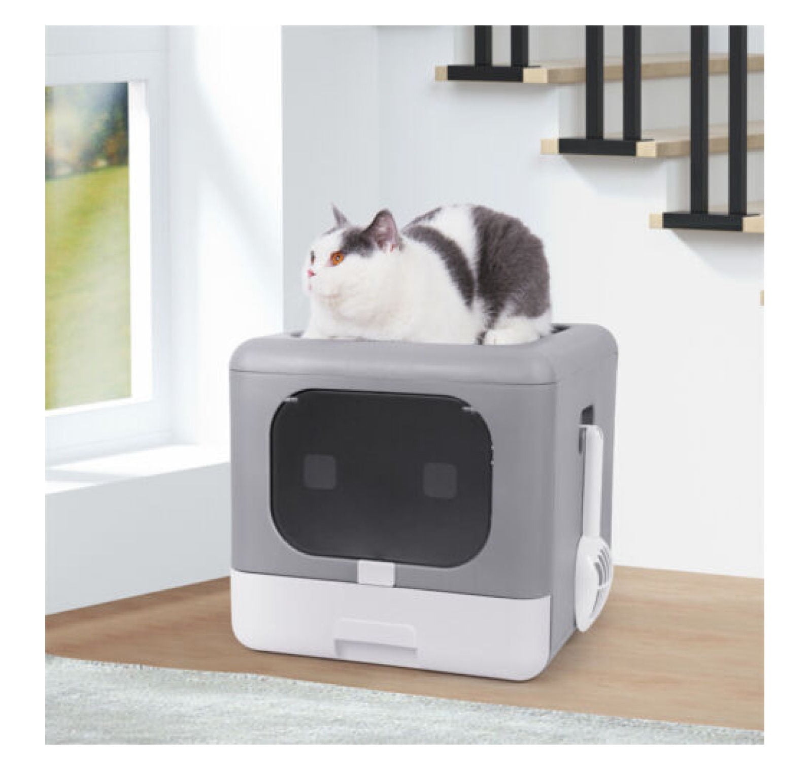 No smell litter box 2025