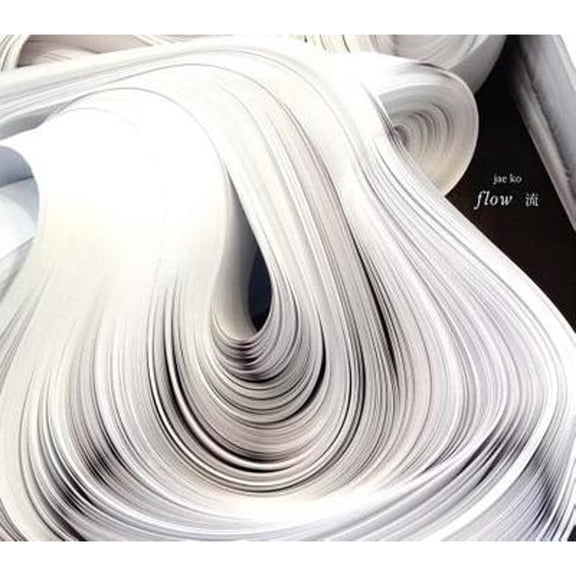 Pre-Owned Jae Ko: Flow (Paperback 9781933619606) by Jae Ko