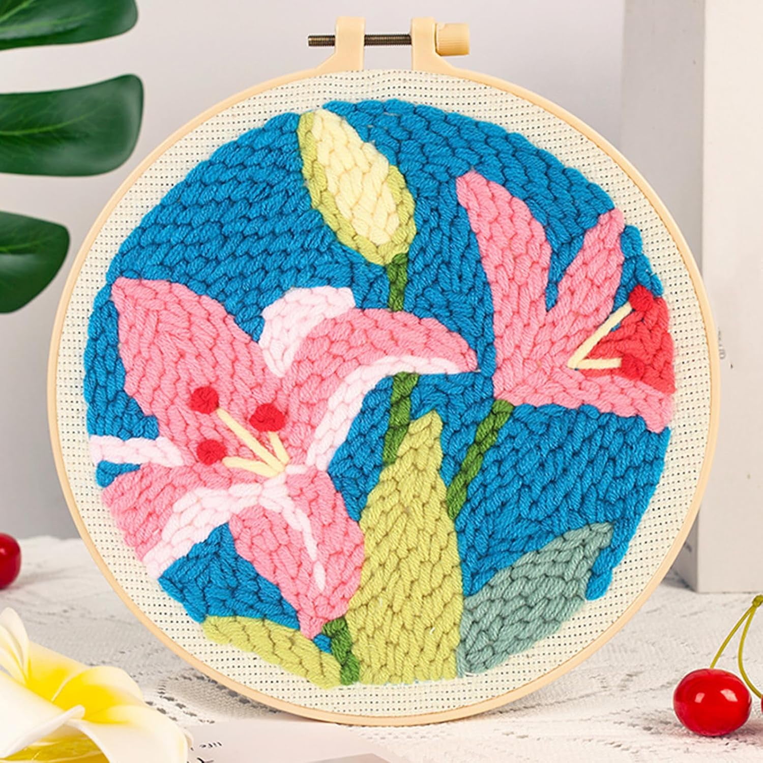 Jaenea Punch Stitch Kit,Healing Weave Punch Stitching Kit,Punch Needle ...