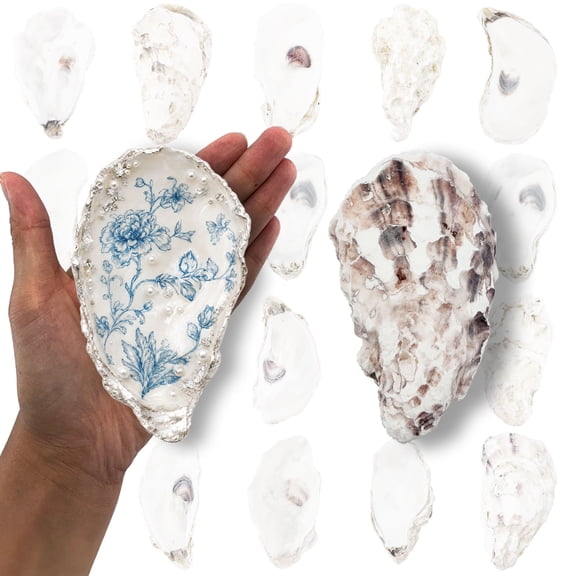 Jaffallana 20PCS 4"-5" Large Oyster Shells for Crafts, Hand-Selected Premium Natural Seashells, Odorless Craft Oyster Shells for Painting, DIY, Wedding Decor, Decoupage, Coastal Art Projects