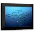 thumbnail image 1 of Jager, Henry 24x19 Black Modern Framed Museum Art Print Titled - Barracudas, 1 of 5