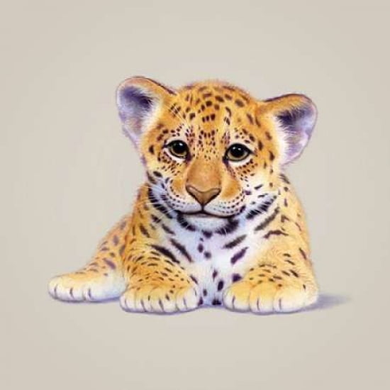 Jaguar Canvas Art - John Butler (24 x 24)