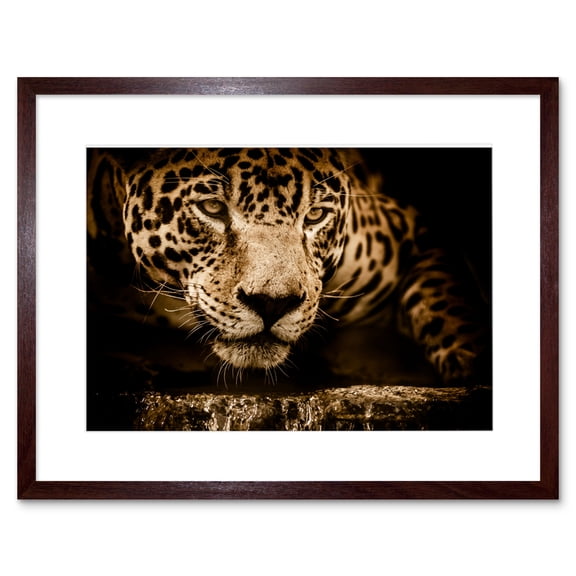 Jaguar Head Big Cat Framed Wall Art Print